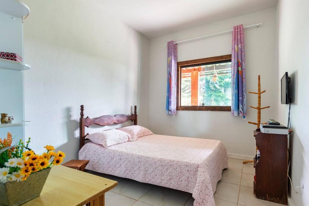 Sitio Da Tia Lucia Perto Da Montanha